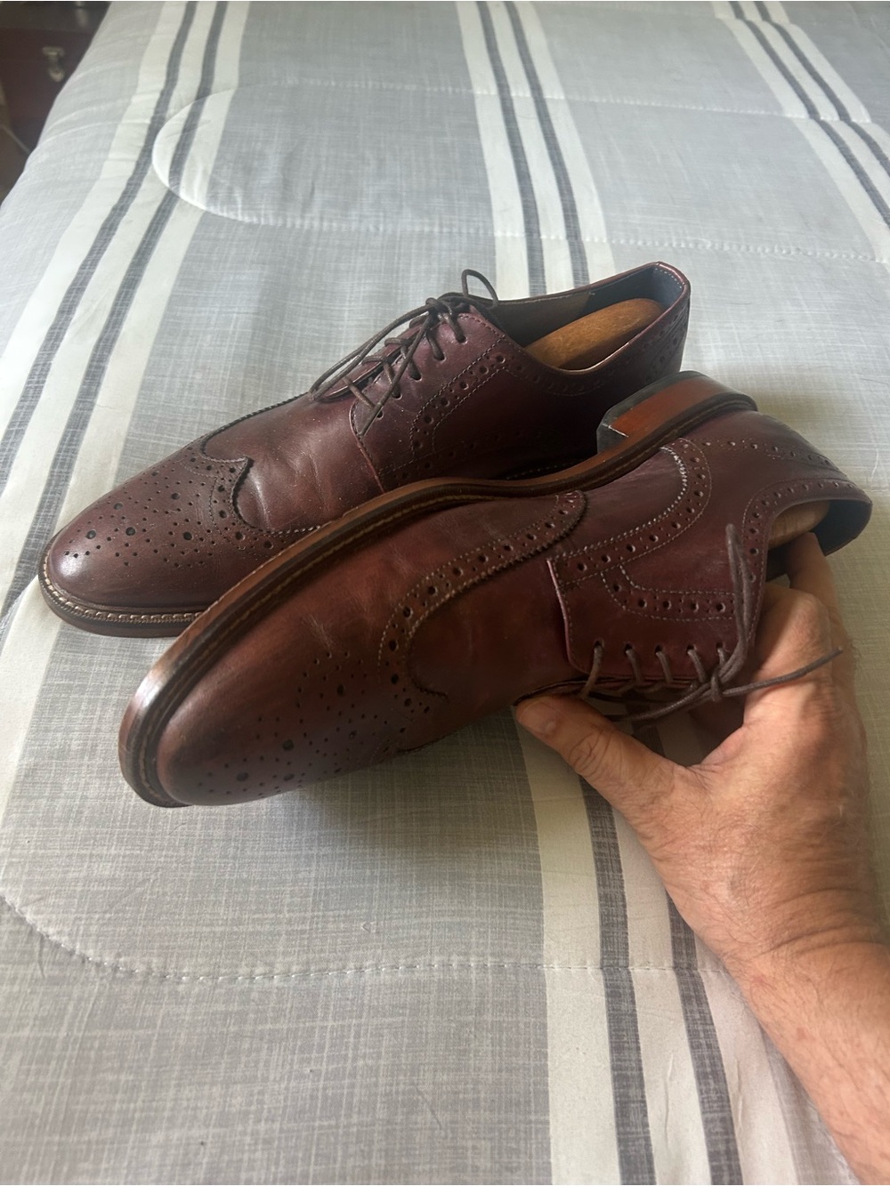 Banana Republic Men's Oxblood Leather Wingtip Oxfords - Picture 3 of 6